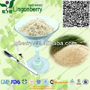 Natural Rice Protein powder